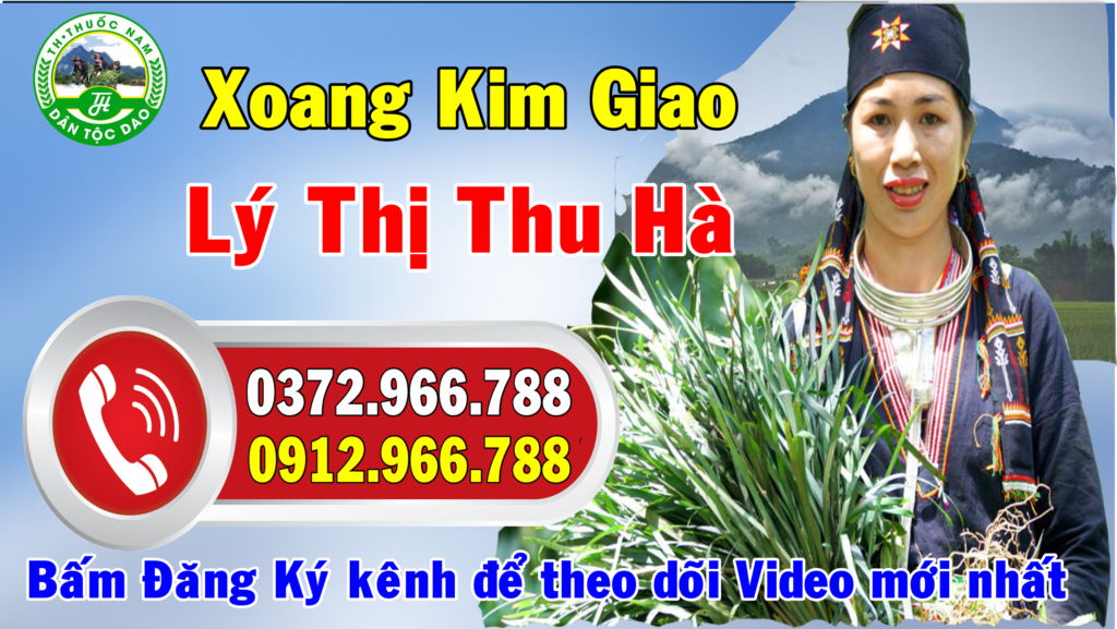 xoang-kim-giao-ly-thi-thu-ha