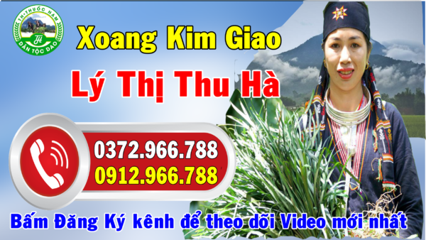 xoang-kim-giao-ly-thi-thu-ha